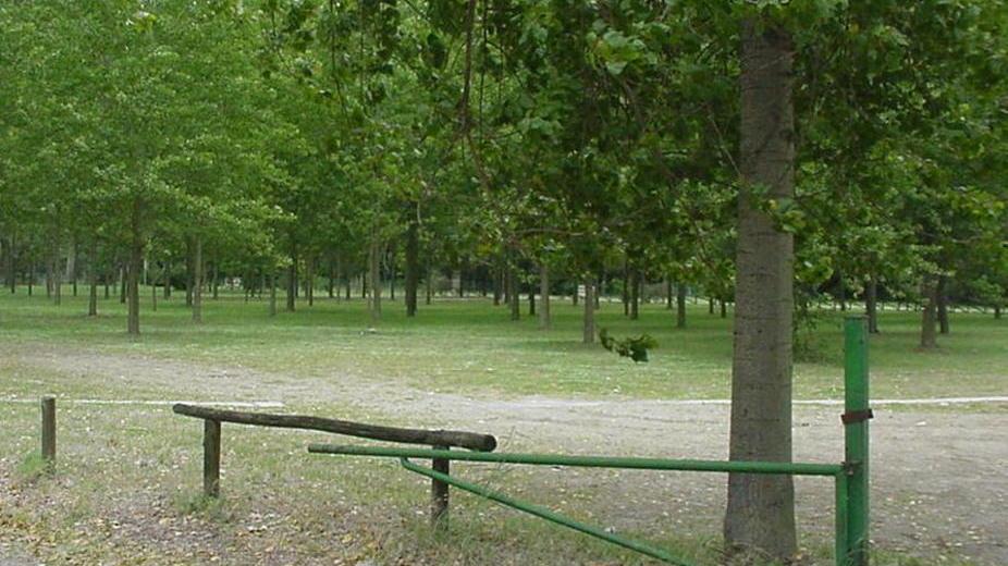 Dopo sedici anni di lotte il sì al campeggio in pineta
