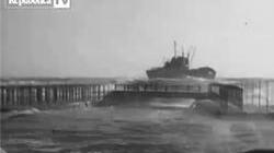 Video Istituto Luce / Livorno 1952, il naufragio della Grommet Reefer