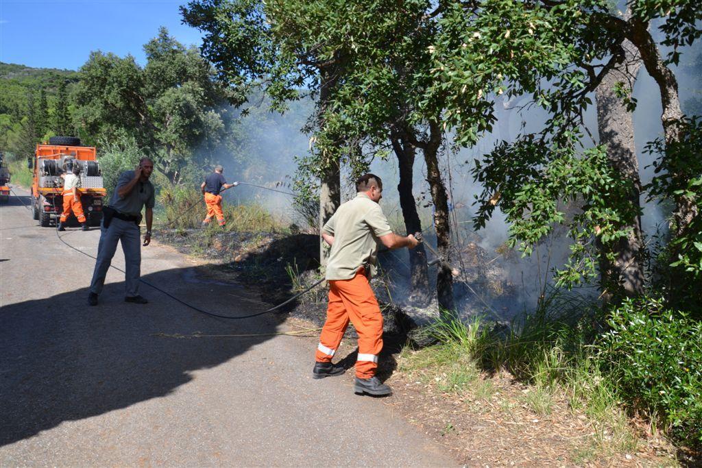 Tre nuovi incendi a Castiglione della Pescaia: allarme piromane 