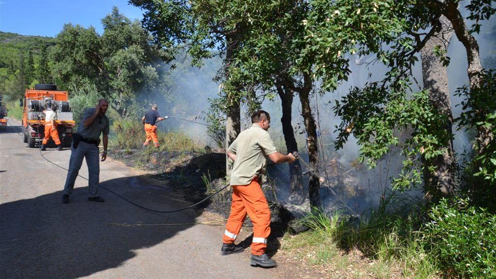 Tre nuovi incendi a Castiglione della Pescaia: allarme piromane