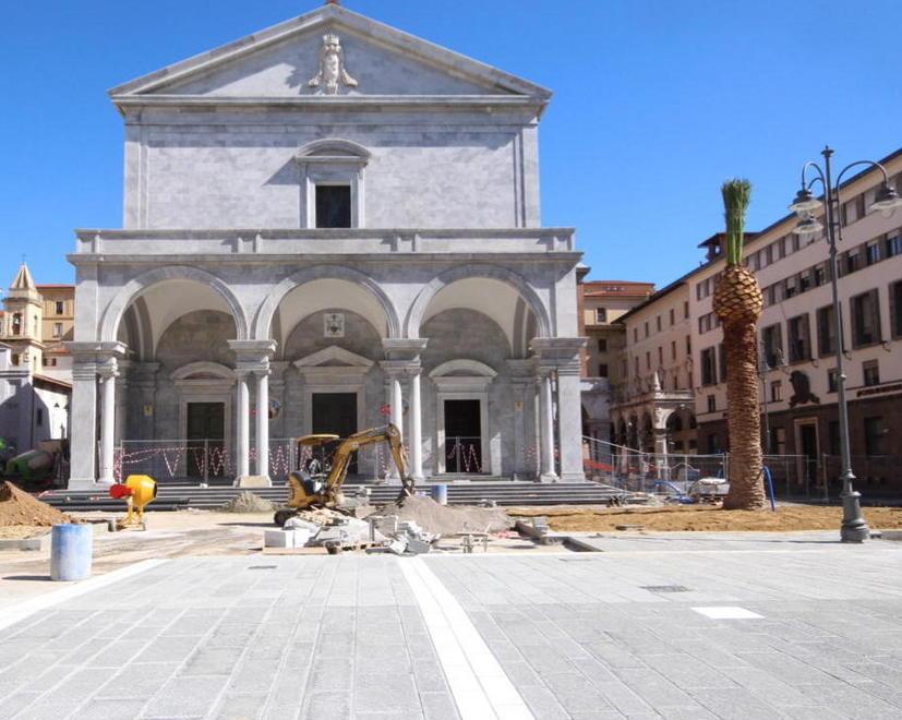 Spunta la prima nuova palma in piazza Grande 