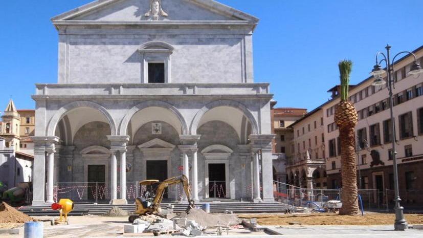 Spunta la prima nuova palma in piazza Grande