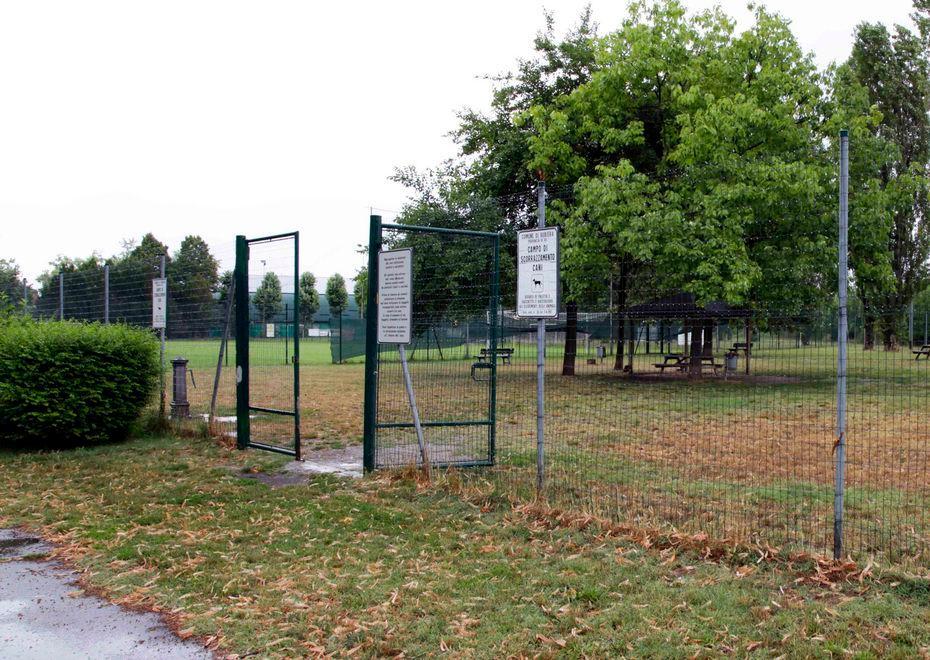 Cani morti: si cercano i bocconi 