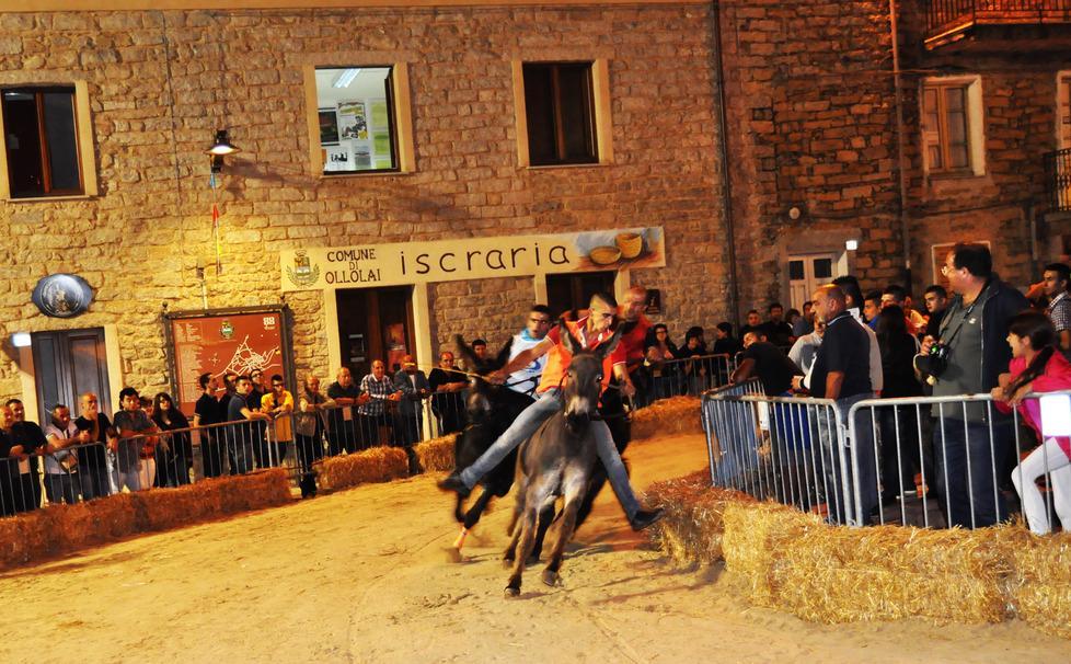 Barbagia in festa, XII edizione del Palio degli Asinelli di Ollolai 
