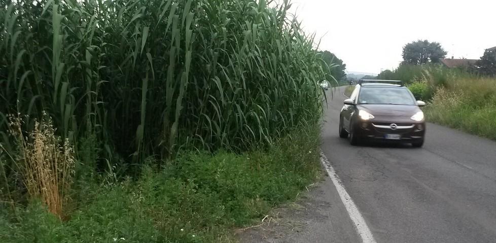 Una strada, mille pericoli Proteste per via Arginale 