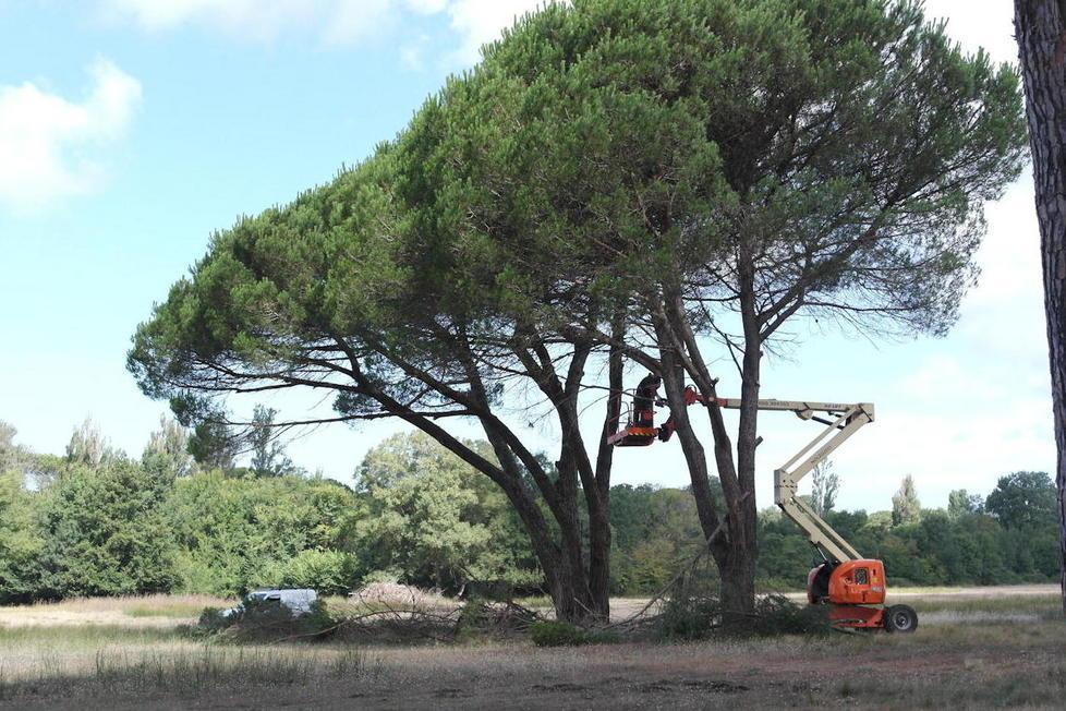 È previsto l’arrivo di cinquecento bus