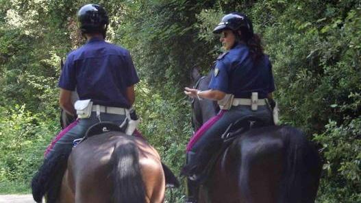 Sos per la polizia a cavallo la città rischia di perderla