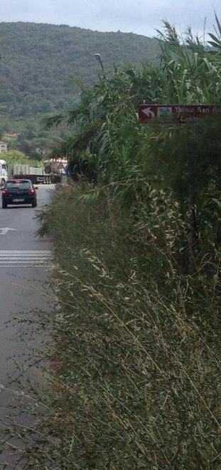 Non ci sono più risorse per lo sfalcio dell’erba 