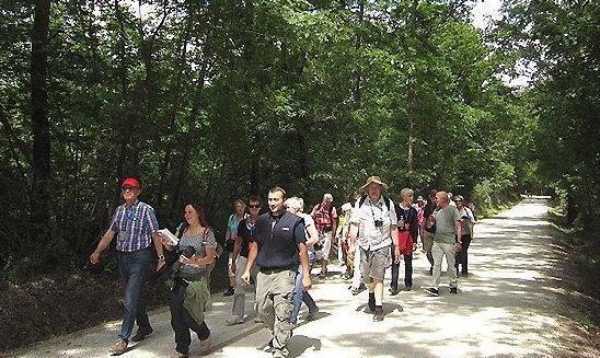 Stage giovanile nel parco (per ripulirlo)