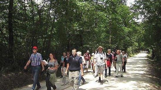 Stage giovanile nel parco (per ripulirlo)