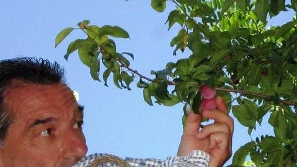 Marusticani: ricordi di infanzia e di cucina