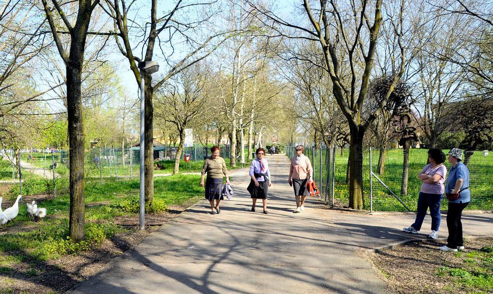 L’emergenza topi al parco e in centro