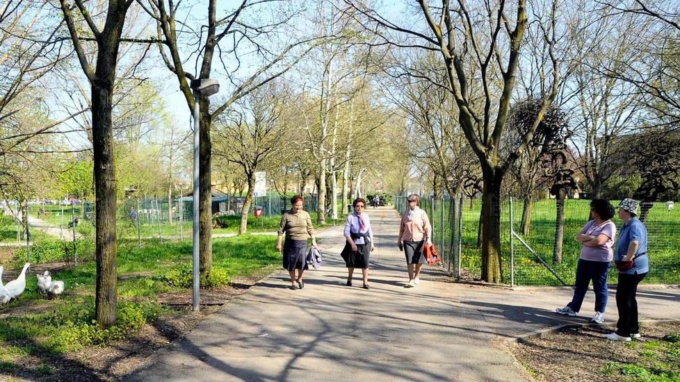 L’emergenza topi al parco e in centro