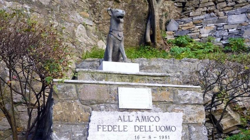 «Devo la vita al mio caro Zeus»