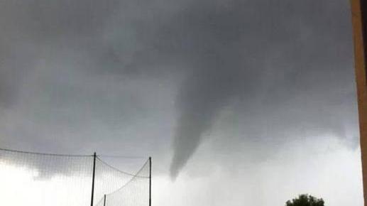 Il vento provoca un’ecatombe di rami Chiusa una strada
