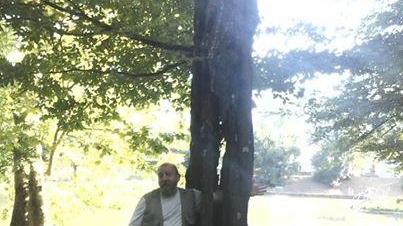 Alberi pericolosi, via agli abbattimenti