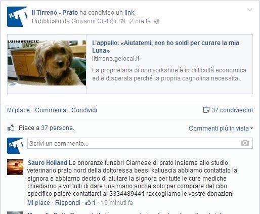 Prato, un imprenditore sosterrà le spese per curare Lunavenere 