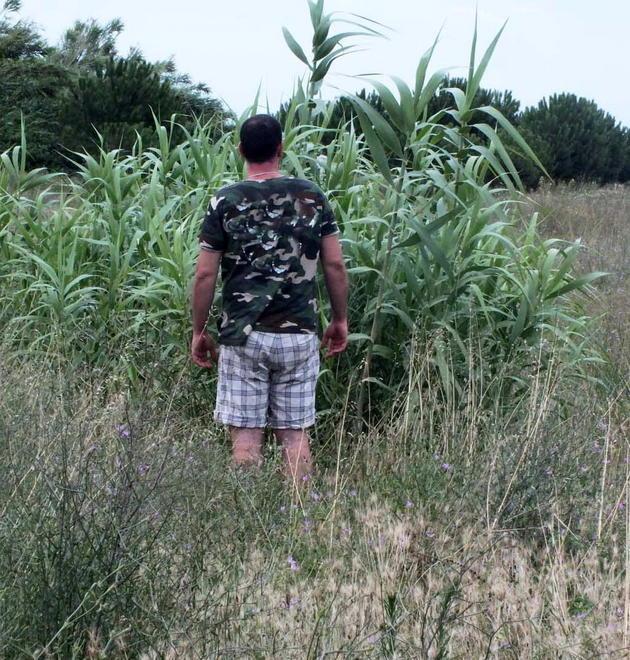 Cari turisti, benvenuti nella savana di Baratti 