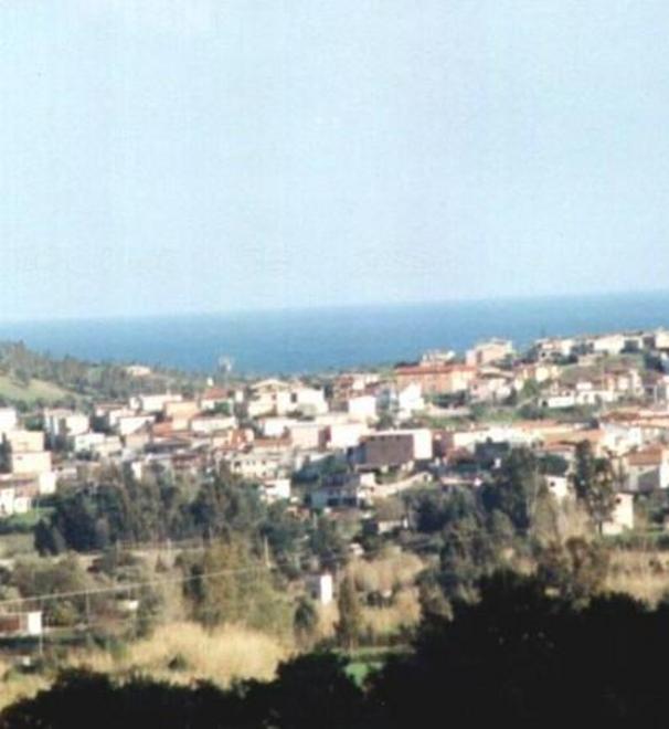 Barisardo, netturbino cade nel compattatore i colleghi lo salvano 