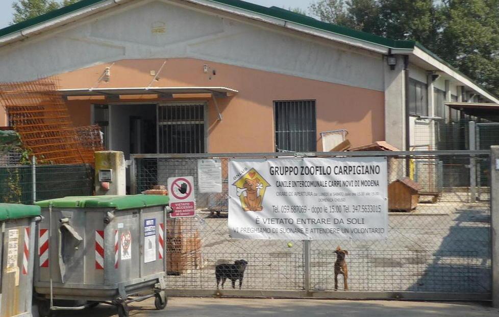 Canile, servono subito 40mila euro 