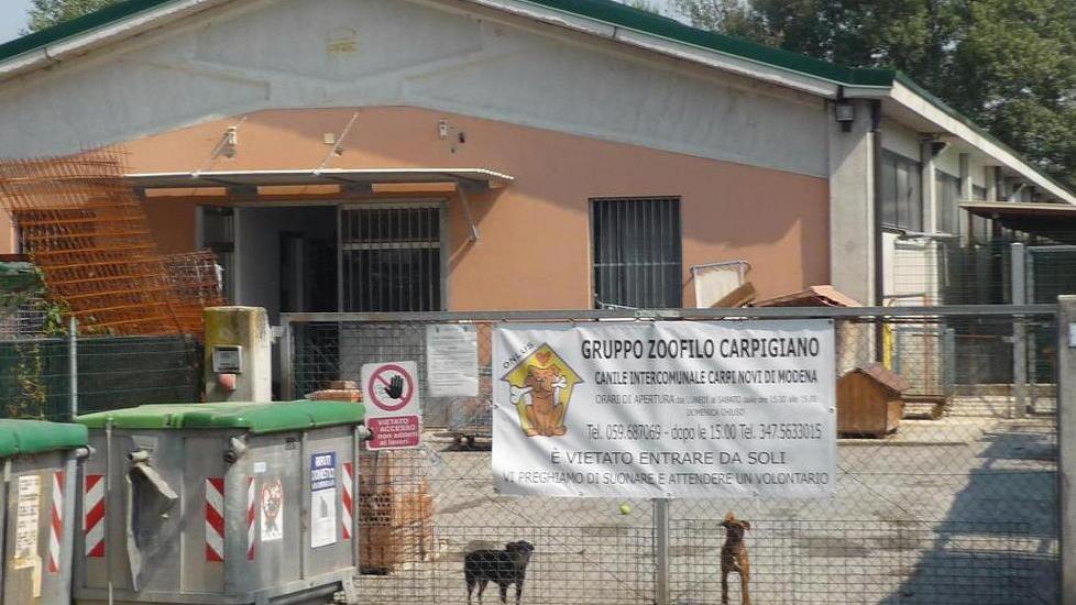 Canile, servono subito 40mila euro