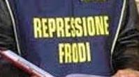 Controlli anti frode nel settore caseario Irregolari 8 aziende