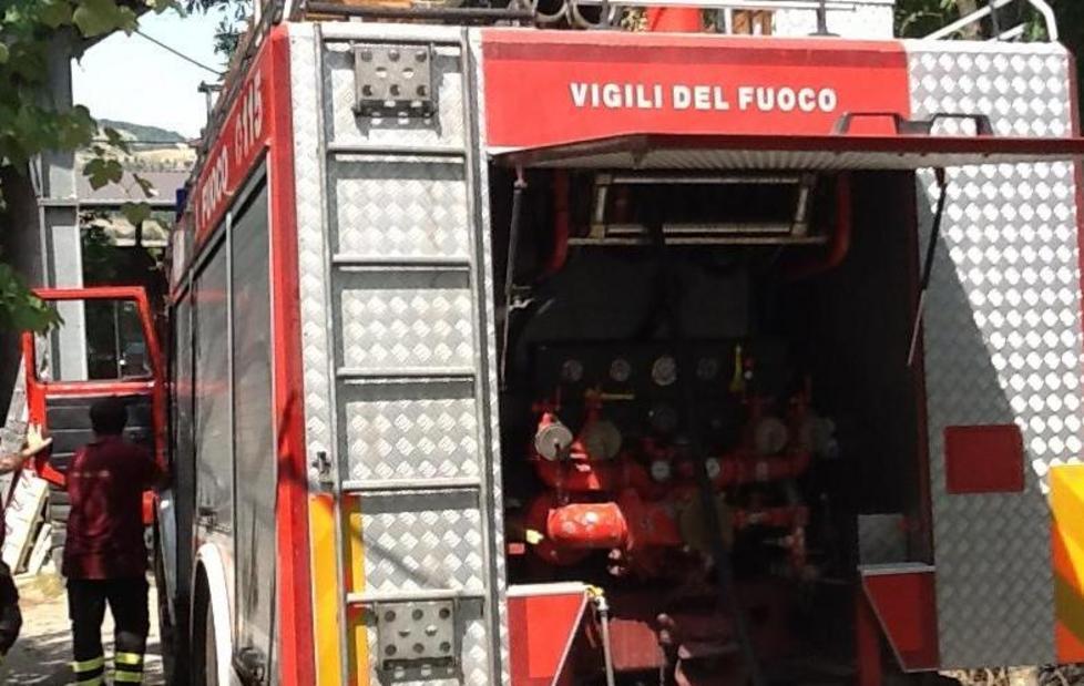 Rogo distrugge l’albergo che ospita cani e gatti 