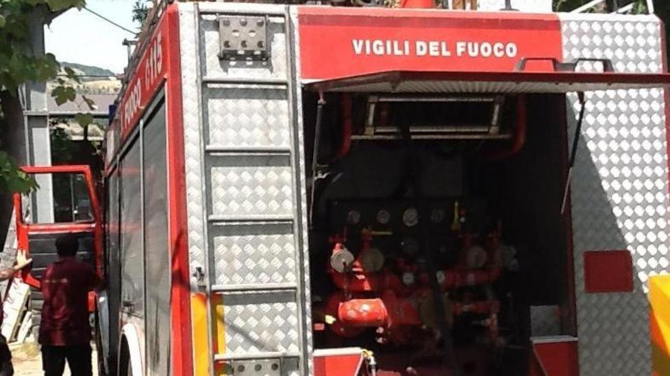 Rogo distrugge l’albergo che ospita cani e gatti