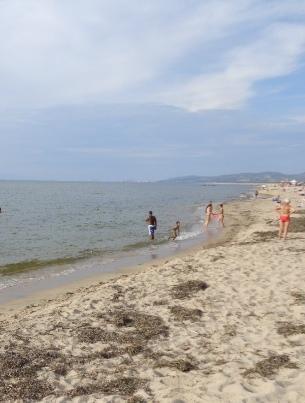 «Qui a Valledoria il mare non è inquinato» 