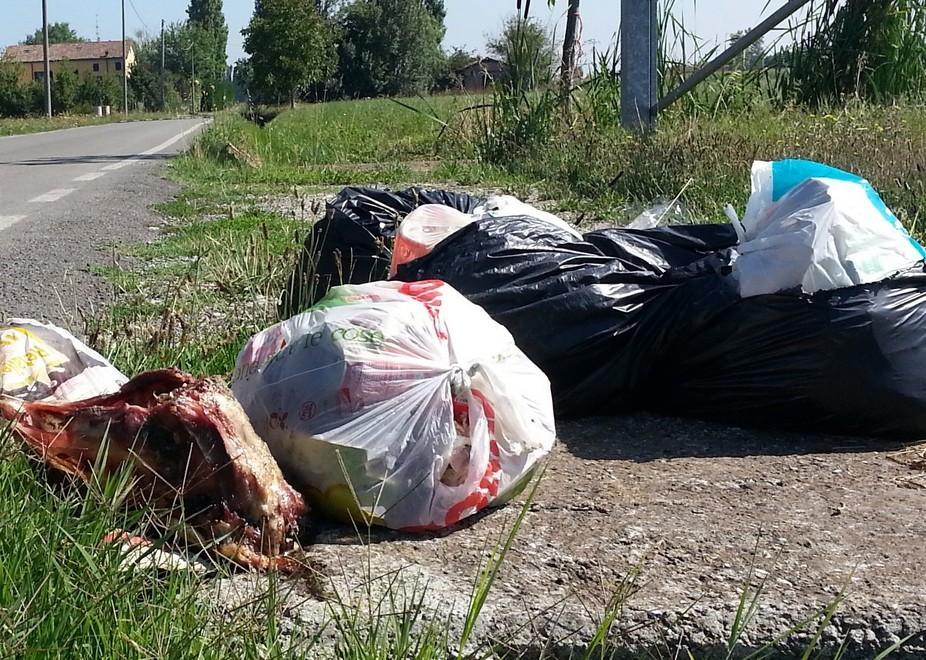 Porta a porta nelle frazioni arrivano le prime critiche 
