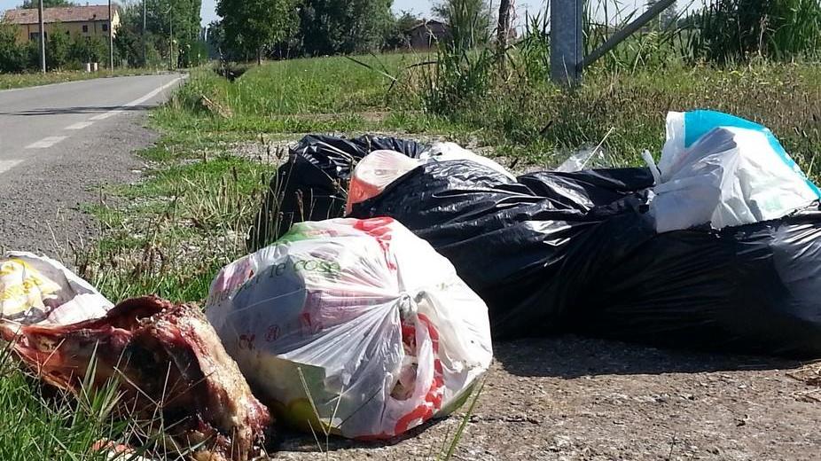 Porta a porta nelle frazioni arrivano le prime critiche