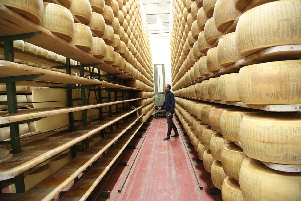 Parmigiano Reggiano, rubate altre 30 forme a Poviglio 
