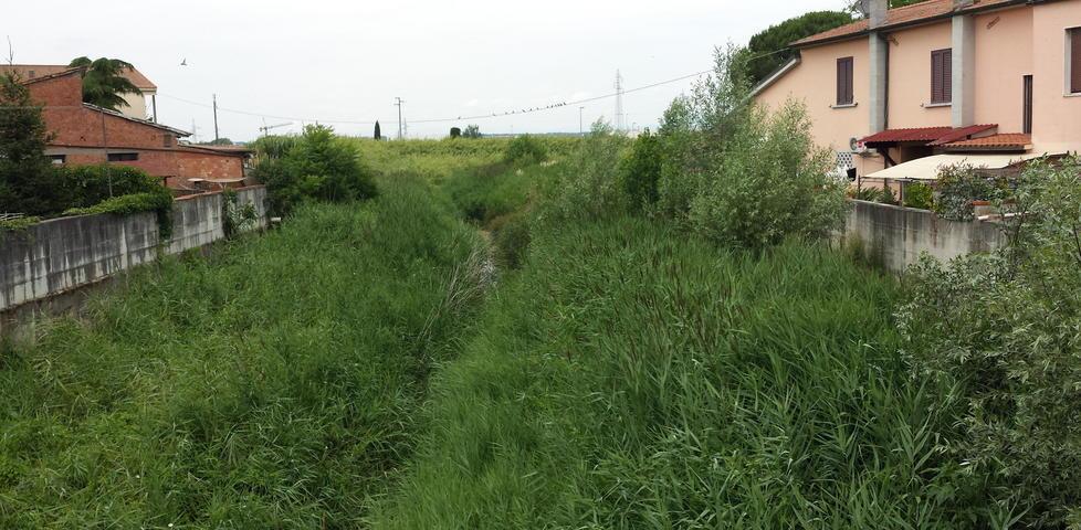 Inizia la raccolta di firme per la pulizia dell’Egola 