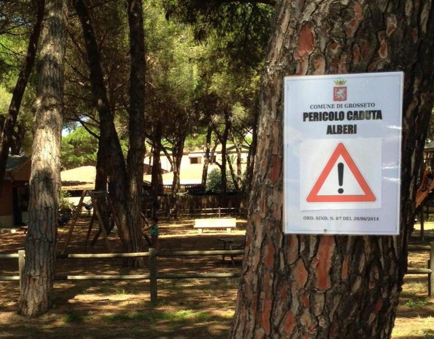 Attenzione, cadono gli alberi davanti al parco per bambini