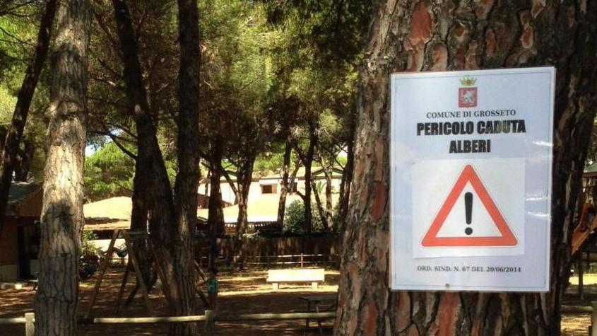 Attenzione, cadono gli alberi davanti al parco per bambini