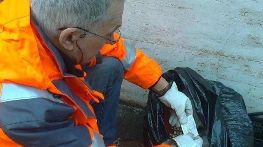 Carne gettata con la plastica: multa