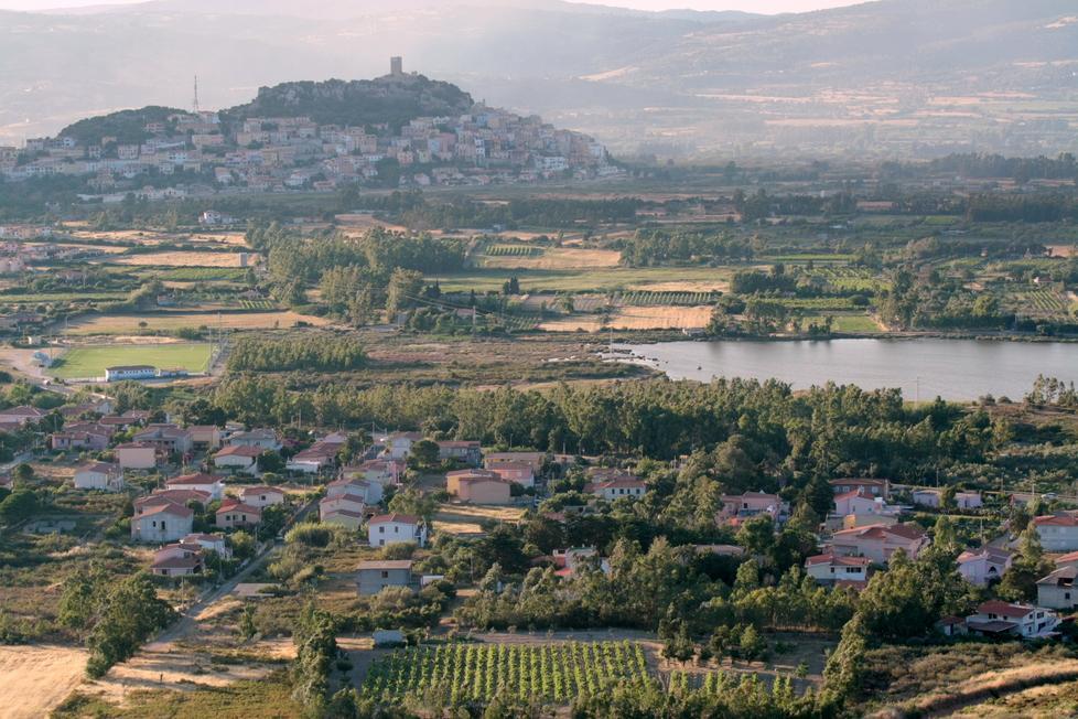 Usi civici, la Consulta boccia la legge sarda sulla sdemanializzazione 
