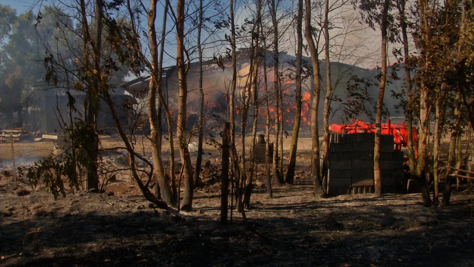 Inferno di fuoco nelle campagne fra Guspini e Pabillonis 