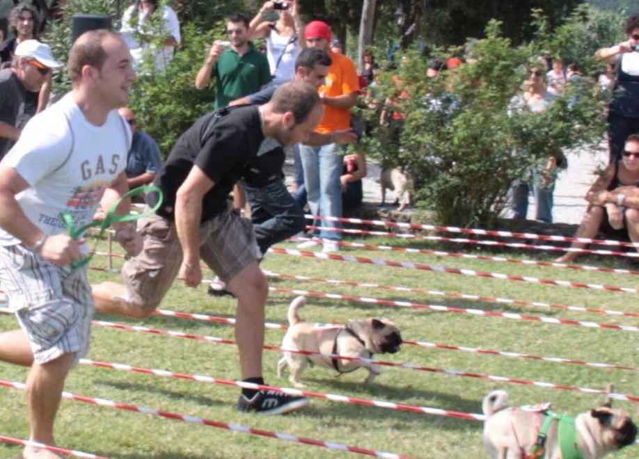 Alla Maratona vado con Fido: sei gambe corrono di più