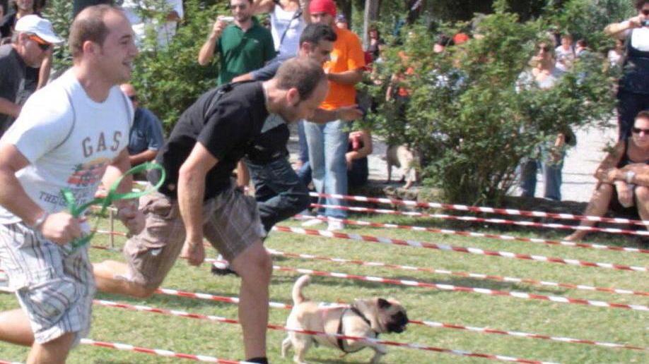 Alla Maratona vado con Fido: sei gambe corrono di più