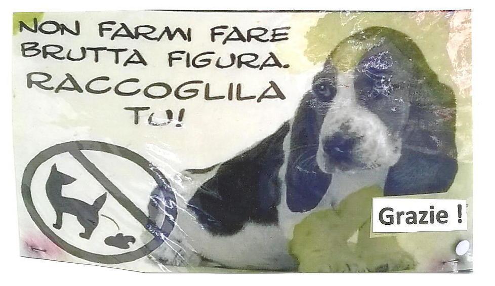 «Non farmi fare brutta figura» Ecco i cartelli anti-pupù dei cani 