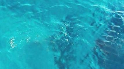 Dopo la Toscana Will Smith fa un tuffo ad Ibiza