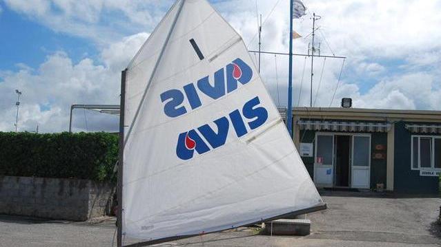 Al via il trofeo di vela Avis, in palio un optimist