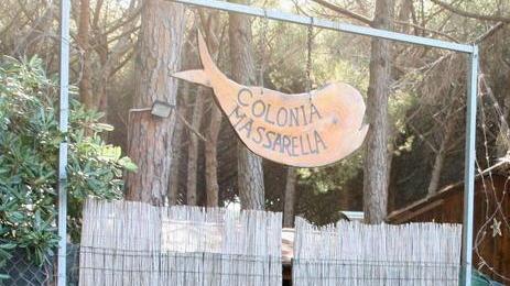 Ok al campeggio ma dopo è obbligo ripulire la zona