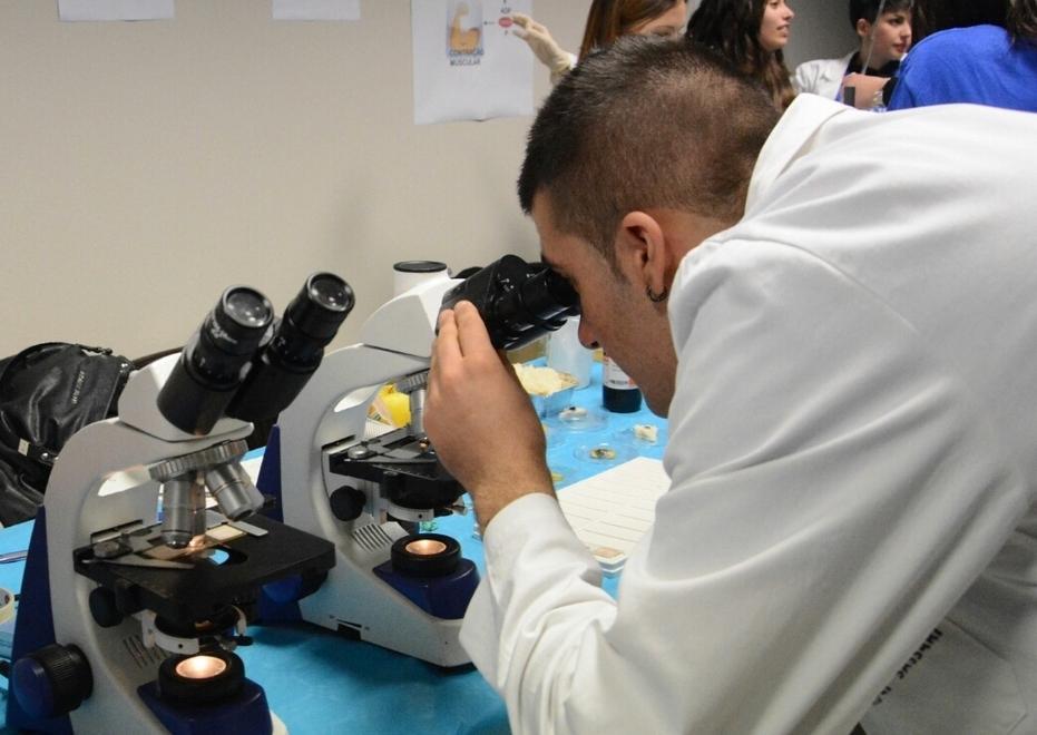 «Caporale ha diffuso la lingua blu» 