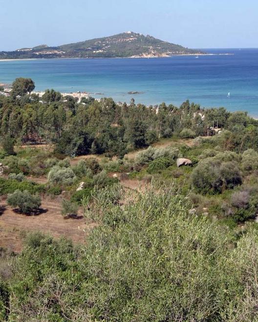 Al via il servizio di web cam 
