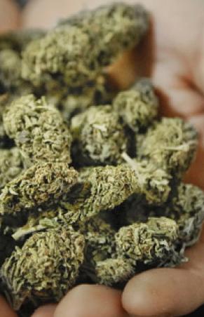 Un etto di “fumo” in casa: assolto 