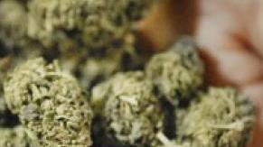Un etto di “fumo” in casa: assolto