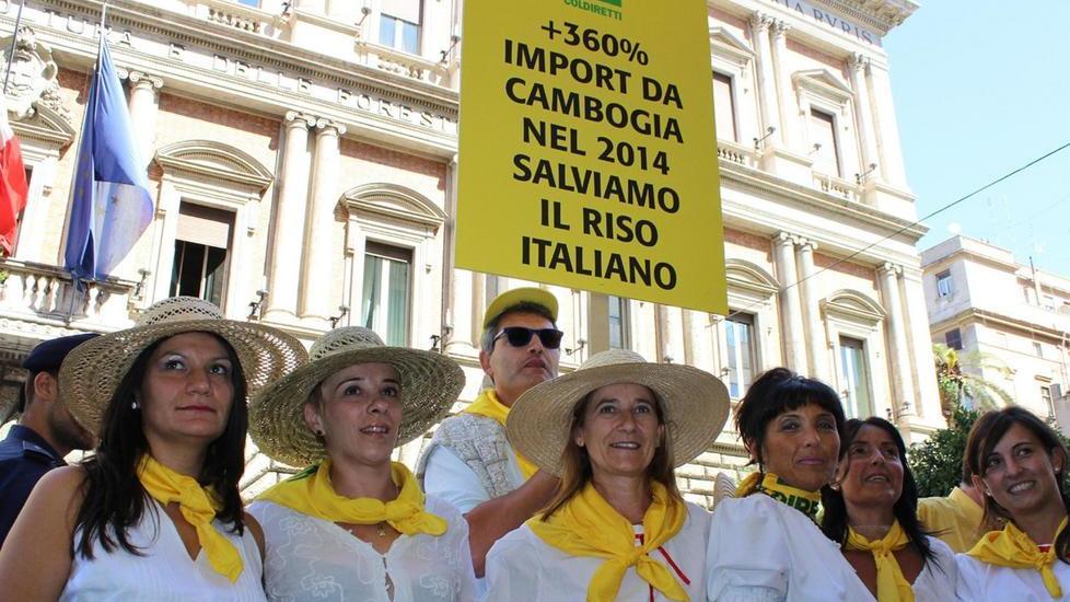 Bertuzzi: il governo deve difendere il riso