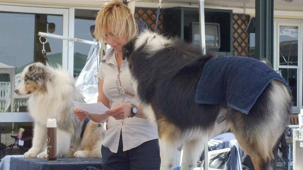 La sfilata a quattro zampe aiuterà un barboncino disabile
